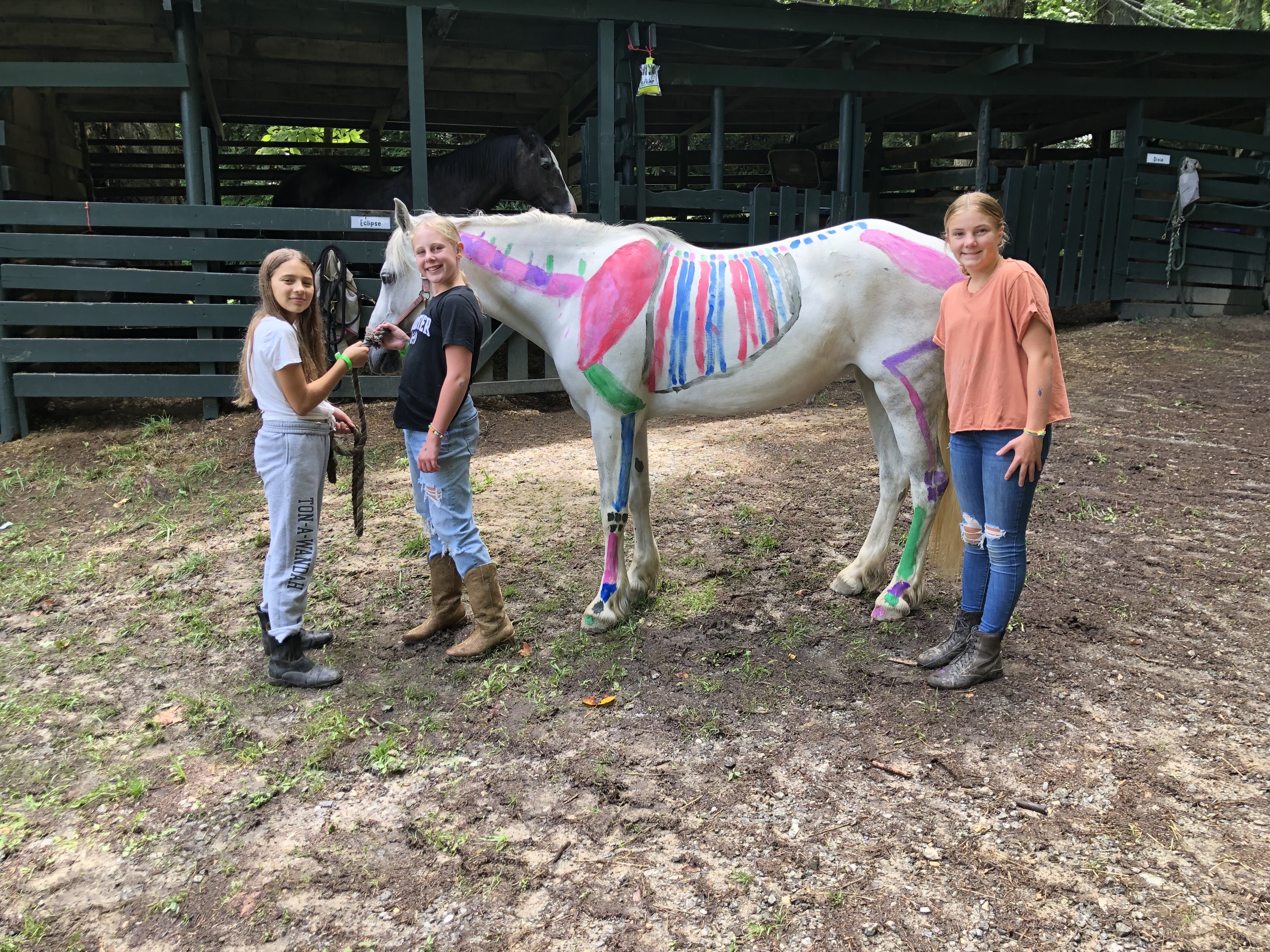 Campers Learn Horse Structure